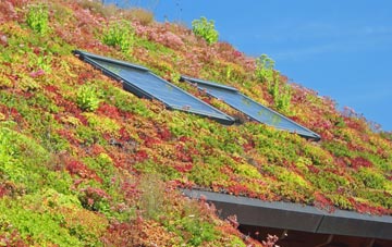 Crakehill living roof systems