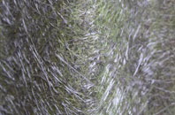 Crakehill fibreglass roof work